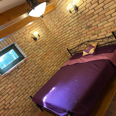 公寓 Szigligetm51 Vendeghaz